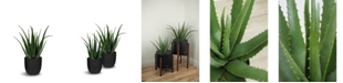 Le Present Artificial Aloe with Pot 30"